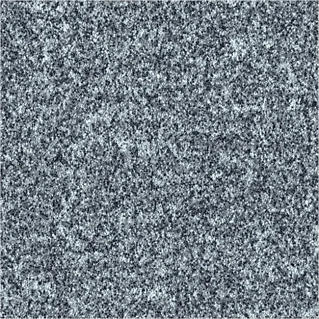 Detail Abstract Static Noise Background Texture Number 6