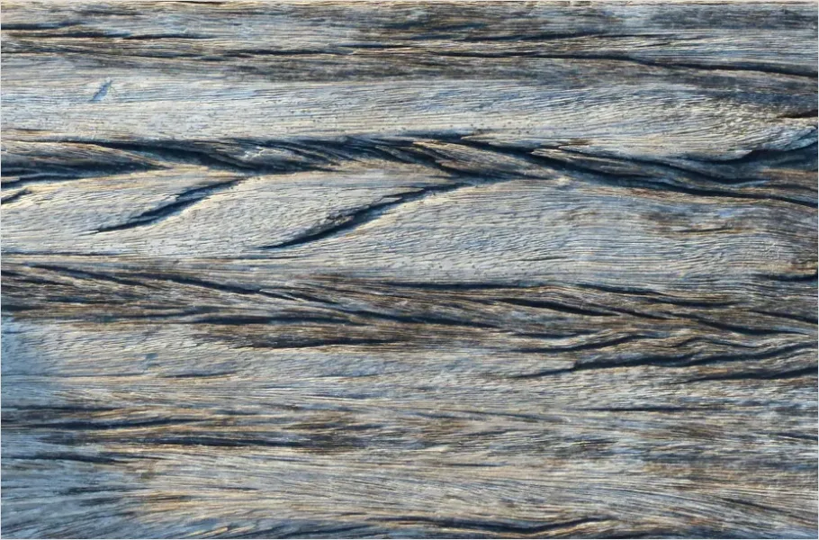 Detail Abstract Wood Grain Texture Background Number 12