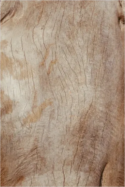 Detail Abstract Wood Grain Texture Background Number 13