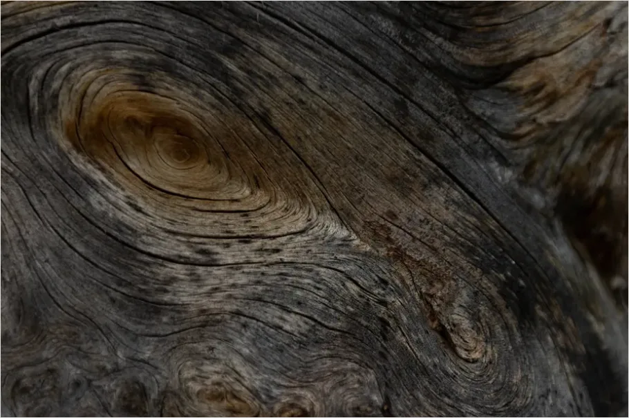 Detail Abstract Wood Grain Texture Background Number 15
