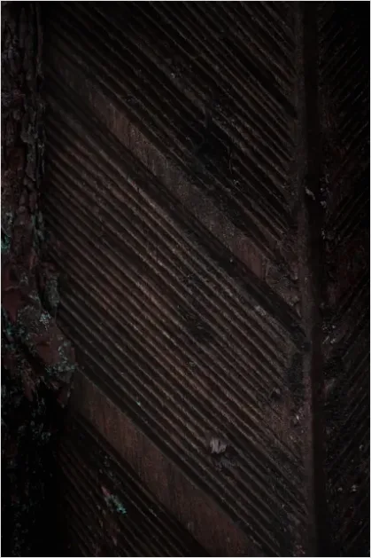Detail Abstract Wood Grain Texture Background Number 16