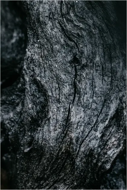 Detail Abstract Wood Grain Texture Background Number 5