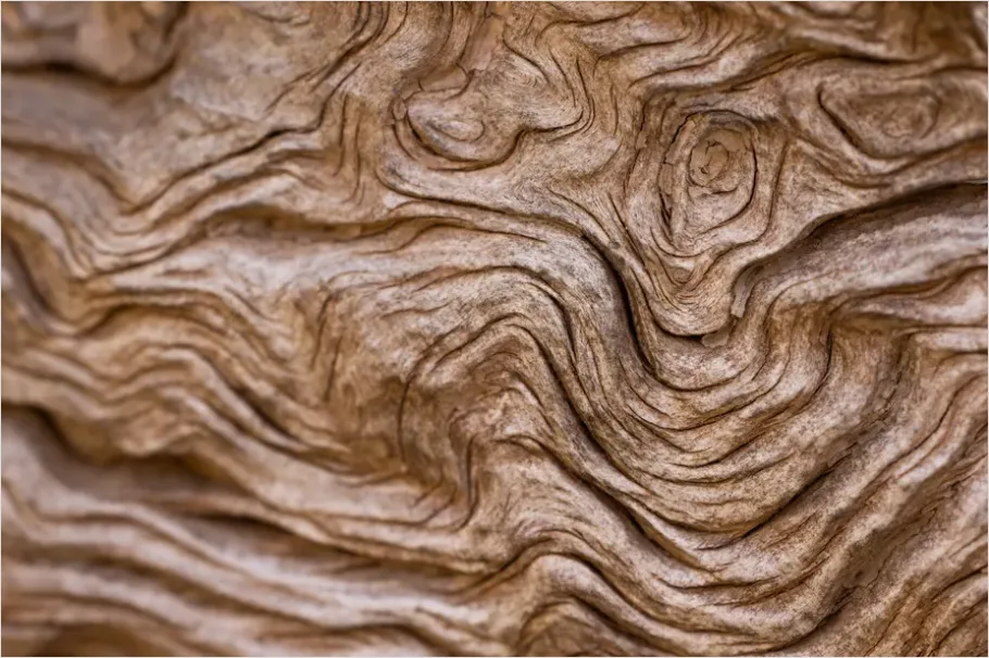 Detail Abstract Wood Grain Texture Background Number 6