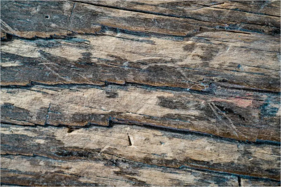 Detail Abstract Wood Grain Texture Background Number 7