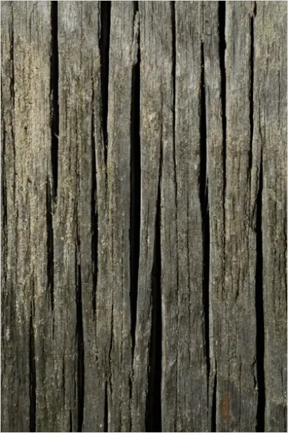 Detail Abstract Wood Grain Texture Background Number 8