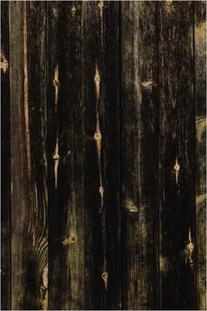 Detail Abstract Wood Grain Texture Background Number 9