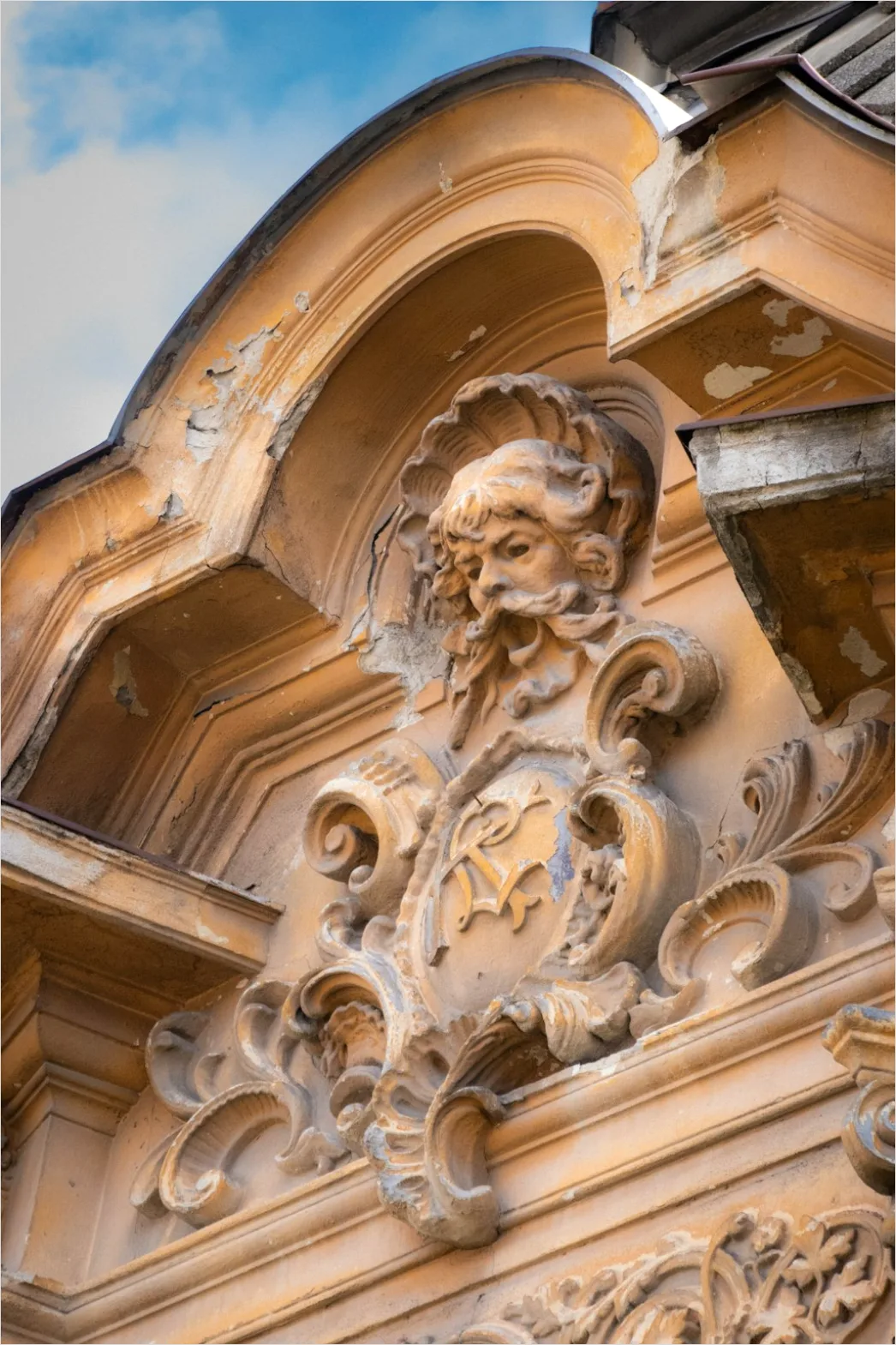 Detail Architectural Ornament Detail Close Up Number 5