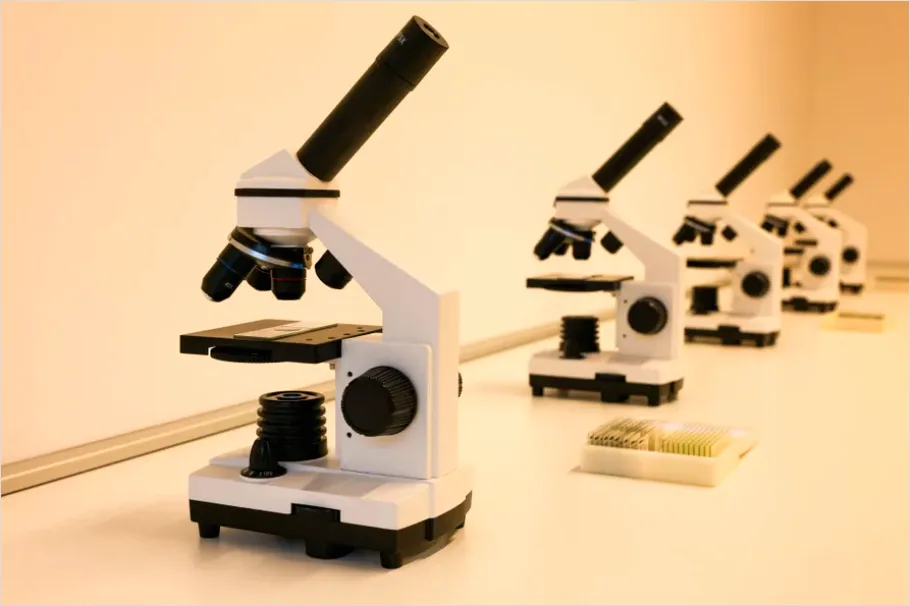 Detail Biology Lab Worksheet Photo Number 14