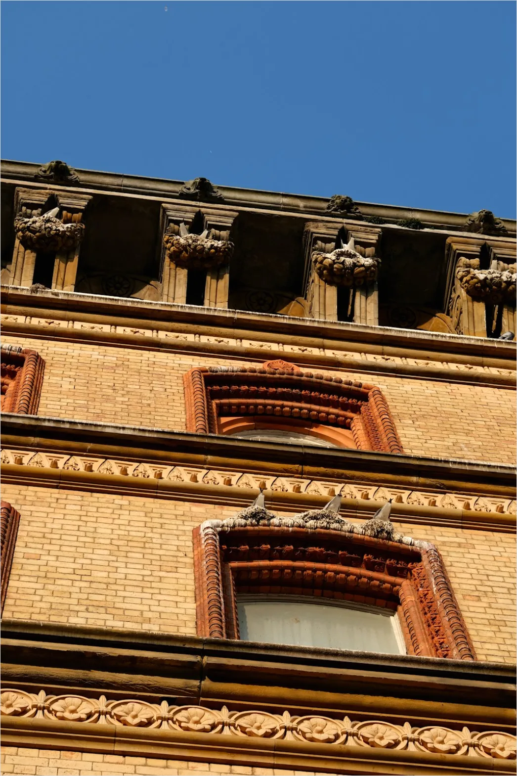 Detail Cornice Detail Historic Building Photo Number 7