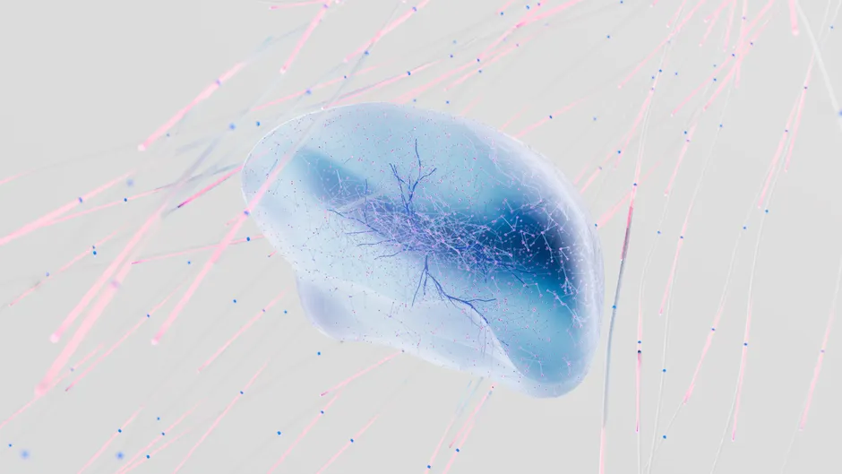 Detail Deep Learning Neural Network Visualization Dark Number 16