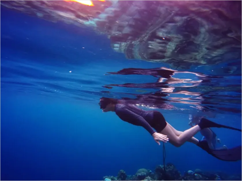 Detail Freediver Underwater Portrait Photo Number 16