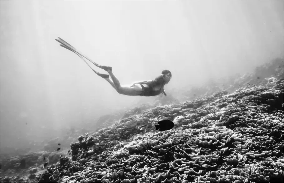 Detail Freediver Underwater Portrait Photo Number 7
