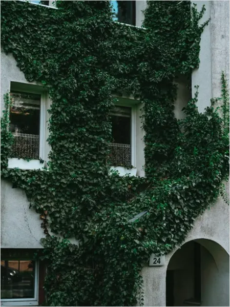Detail Green Wall Facade Building Exterior Photo Number 2