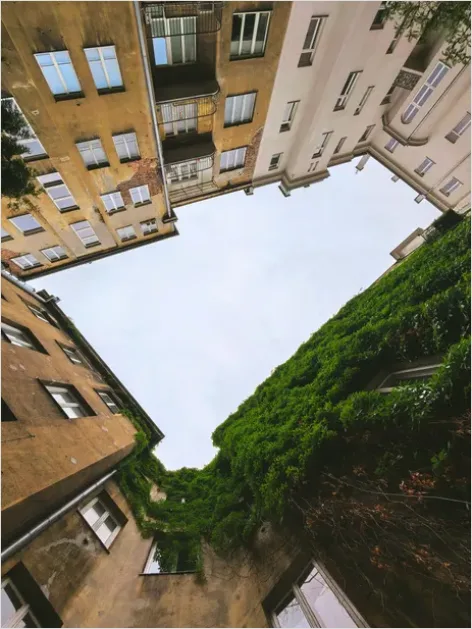 Detail Green Wall Facade Building Exterior Photo Number 11