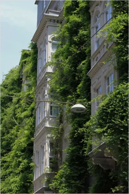 Detail Green Wall Facade Building Exterior Photo Number 14