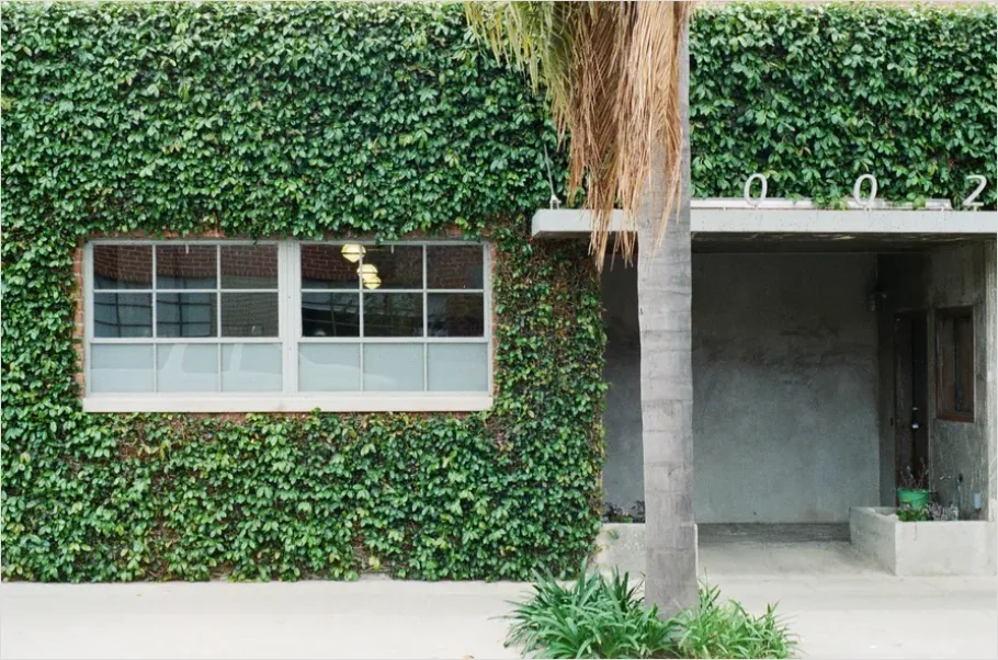 Detail Green Wall Facade Building Exterior Photo Number 17