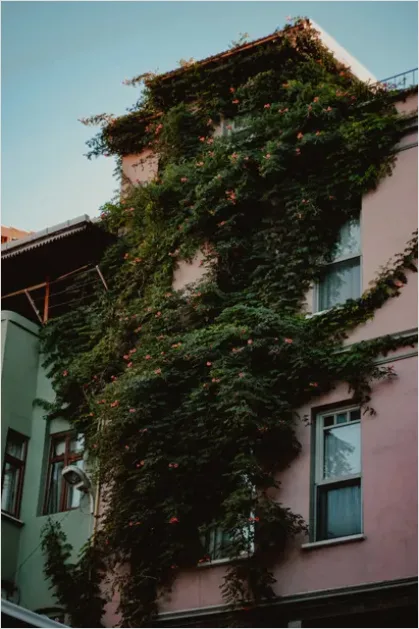 Detail Green Wall Facade Building Exterior Photo Number 18