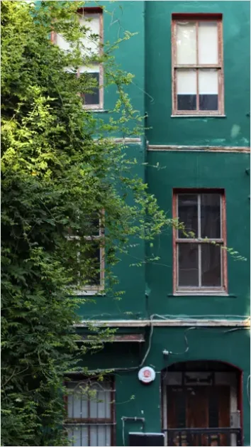 Detail Green Wall Facade Building Exterior Photo Number 20