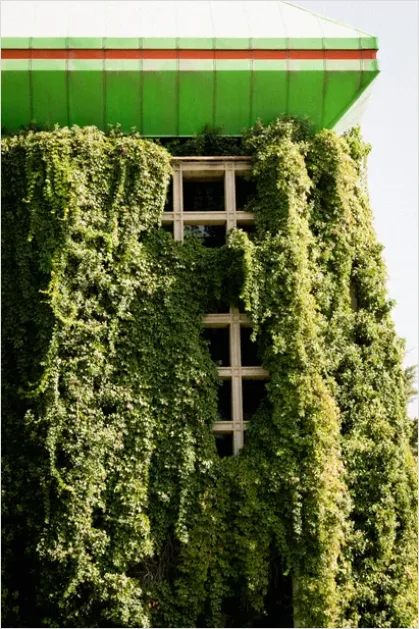 Detail Green Wall Facade Building Exterior Photo Number 3