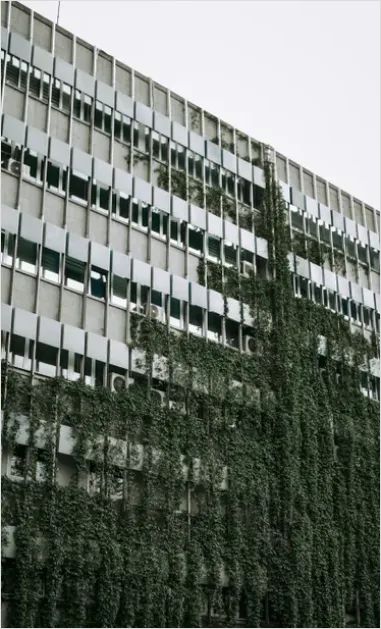 Detail Green Wall Facade Building Exterior Photo Number 4