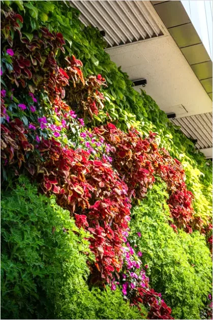 Detail Green Wall Facade Building Exterior Photo Number 6