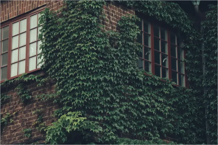 Detail Green Wall Facade Building Exterior Photo Number 7