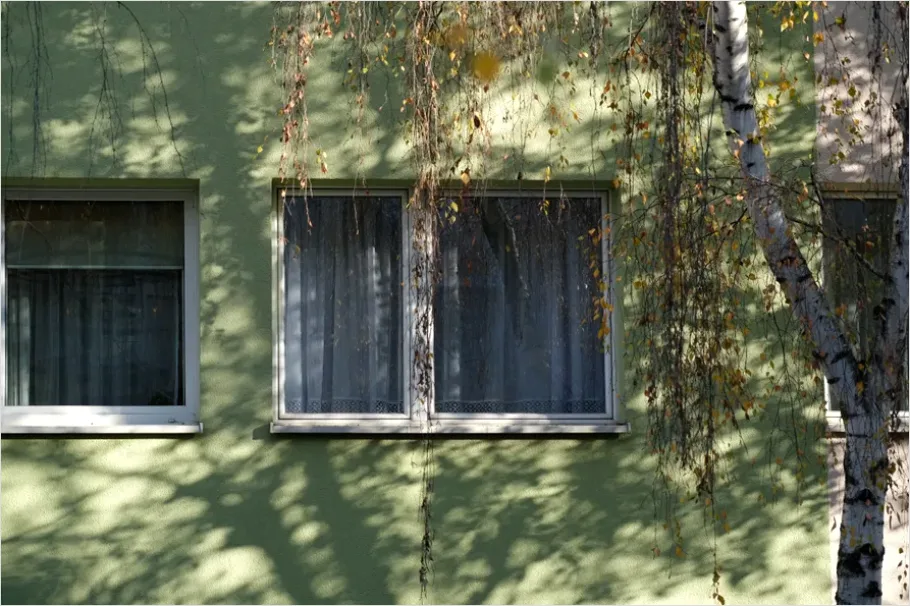 Detail Green Wall Facade Building Exterior Photo Number 9