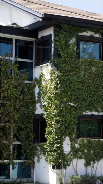 Detail Green Wall Facade Building Exterior Photo Number 10