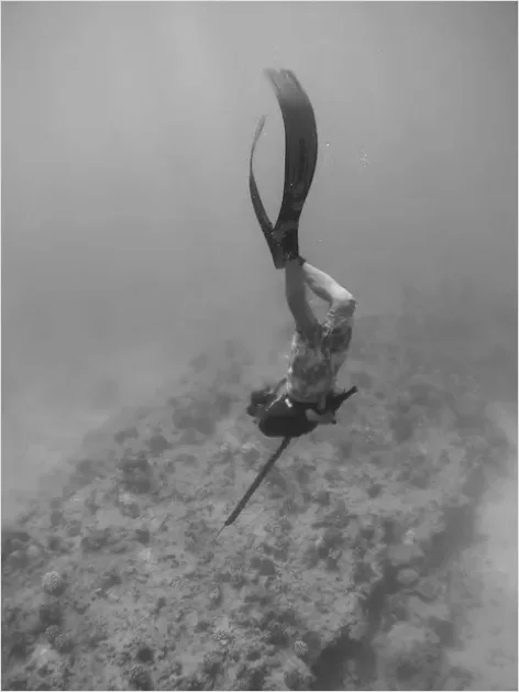 Detail Marlin Underwater Hunting Photo Number 3