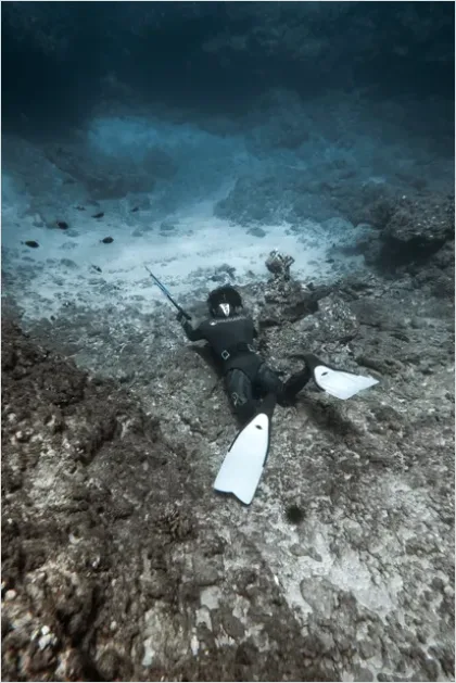 Detail Marlin Underwater Hunting Photo Number 4