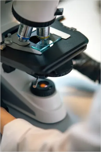 Detail Microscope Close Up Photo Number 2