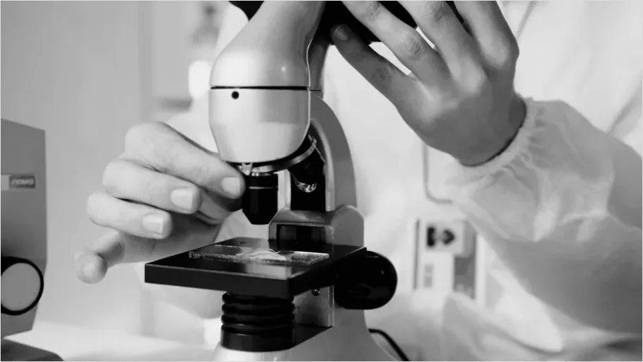 Detail Microscope Close Up Photo Number 11