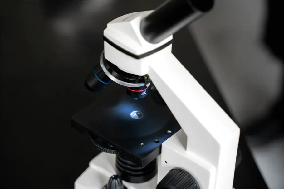 Detail Microscope Close Up Photo Number 13
