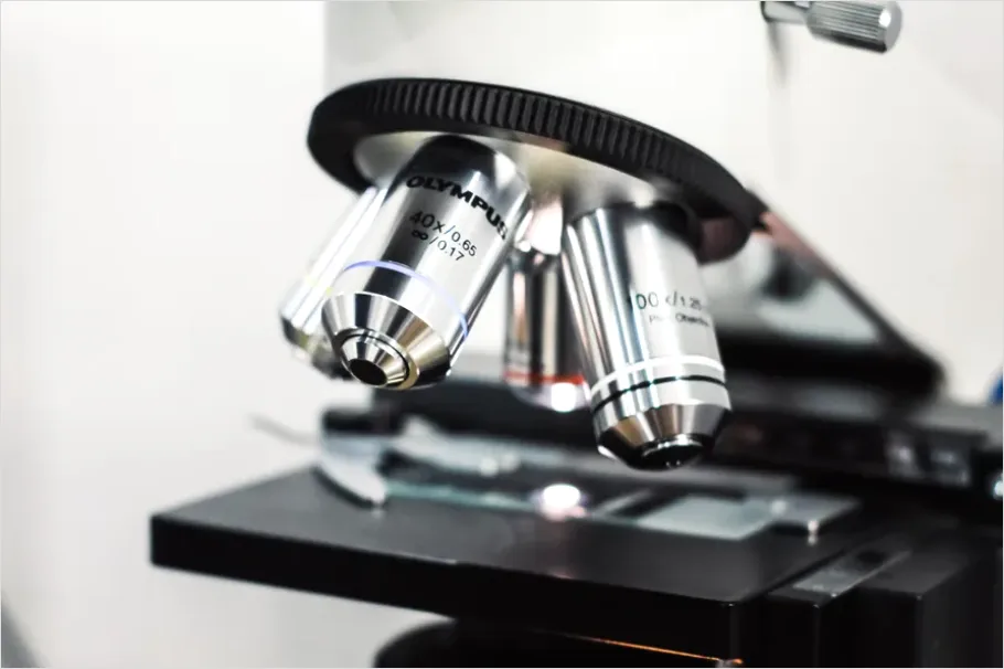 Detail Microscope Close Up Photo Number 14