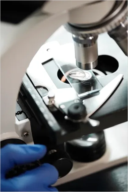 Detail Microscope Close Up Photo Number 8