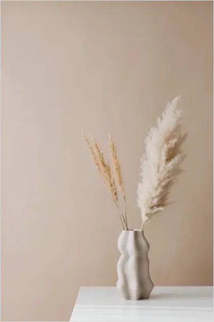 Detail Minimal Neutral Color Palette Aesthetic Number 6