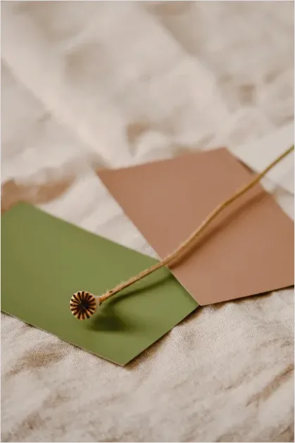 Detail Minimal Sage Green Palette Background Number 11