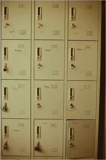 Detail School Hallway Lockers Photo Number 6