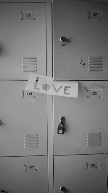 Detail School Hallway Lockers Photo Number 10