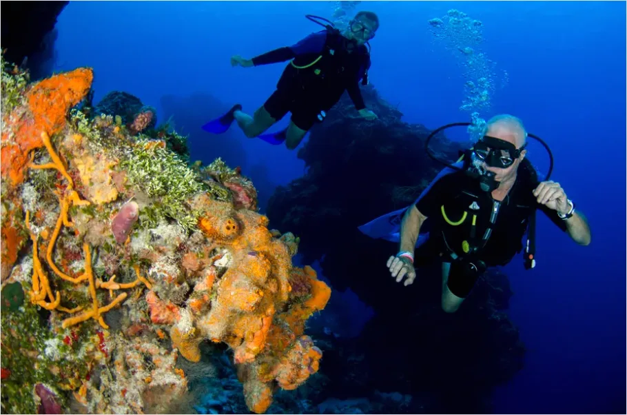 Detail Scuba Diver Coral Reef Photo Number 13