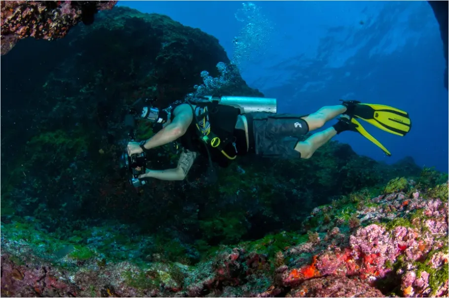 Detail Scuba Diver Coral Reef Photo Number 5