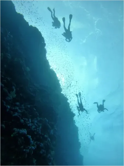 Detail Scuba Diver Underwater Silhouette Photo Number 11