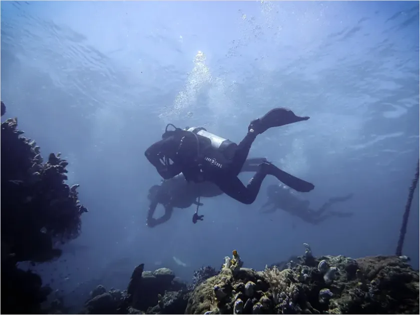 Detail Scuba Diver Underwater Silhouette Photo Number 12