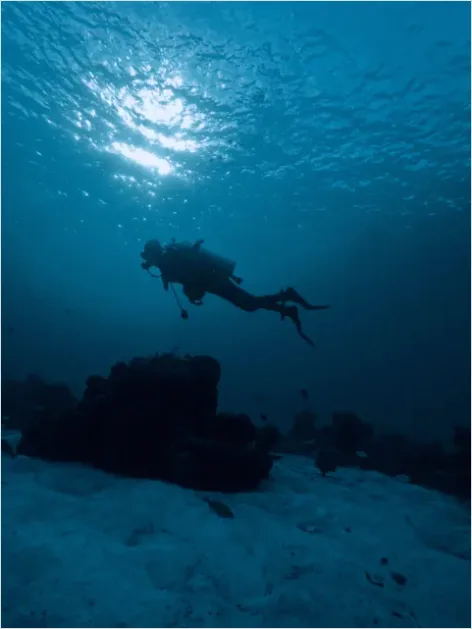 Detail Scuba Diver Underwater Silhouette Photo Number 13