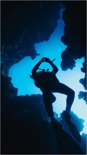 Detail Scuba Diver Underwater Silhouette Photo Number 14