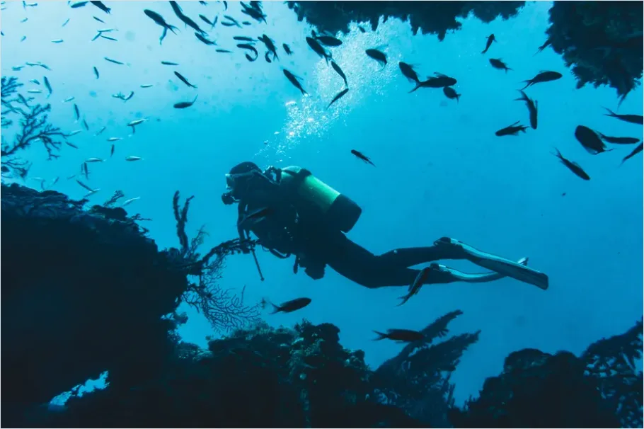 Detail Scuba Diver Underwater Silhouette Photo Number 16