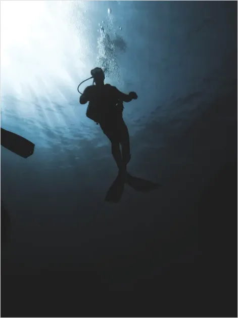 Detail Scuba Diver Underwater Silhouette Photo Number 4