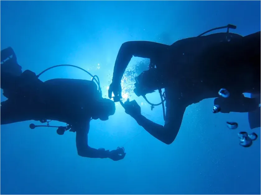 Detail Scuba Diver Underwater Silhouette Photo Number 5
