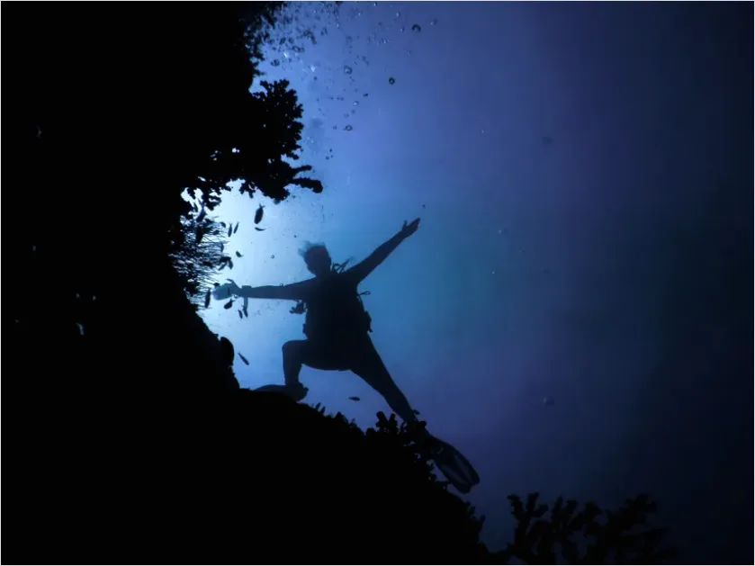 Detail Scuba Diver Underwater Silhouette Photo Number 6