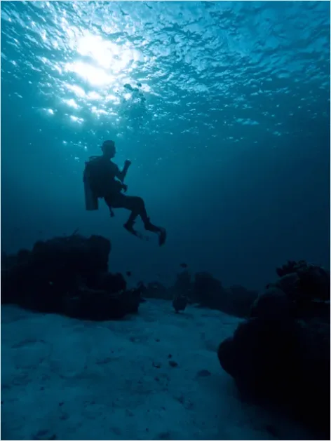 Detail Scuba Diver Underwater Silhouette Photo Number 7
